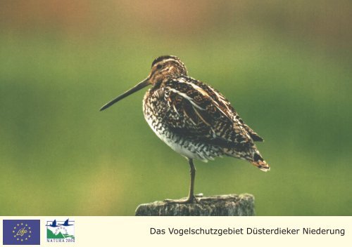 Das Vogelschutzgebiet Düsterdieker Niederung - Biologische ...