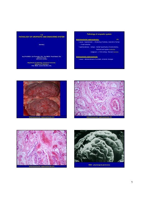 D7 - Uro,Endocrine