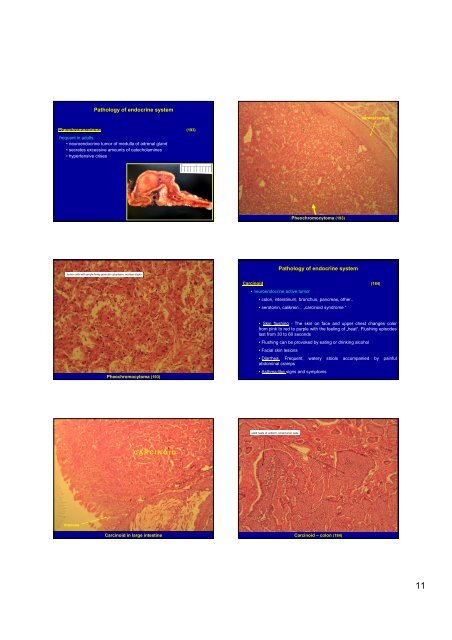 D7 - Uro,Endocrine