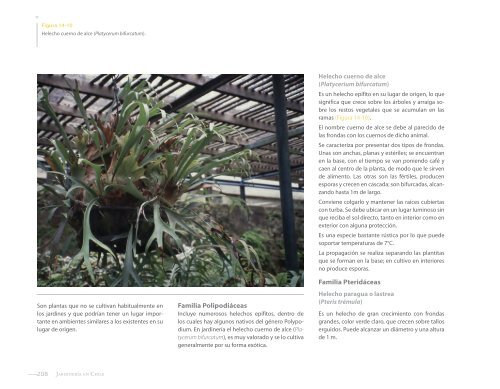 jardinería en chile - Esc. Arquitectura del Paisaje - Universidad Central