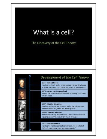 What is a cell? - nnhsbergbio