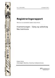 Registreringsrapport - Kulturnett Akershus