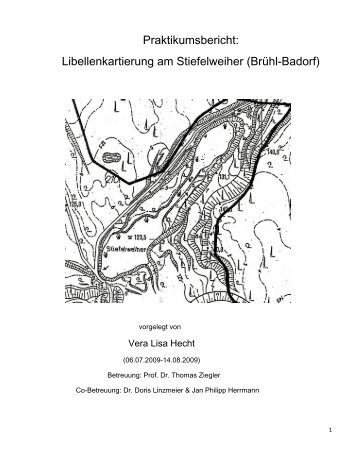Praktikumsbericht: Libellenkartierung am Stiefelweiher (Brühl-Badorf)
