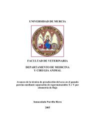 universidad de murcia facultad de veterinaria departamento de ...