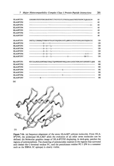 computer modeling in molecular biology.pdf