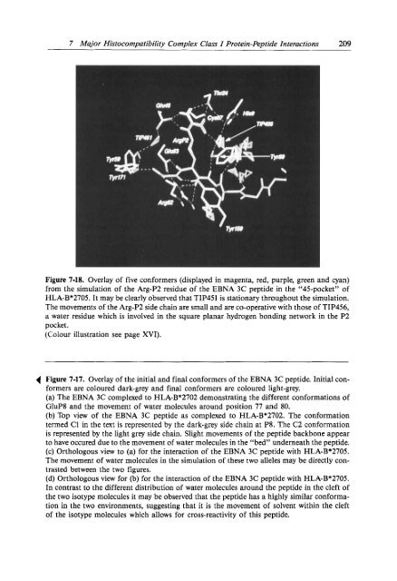 computer modeling in molecular biology.pdf