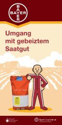 oldenburger palme saatgut Grnkohl 'Ostfriesische Palme'