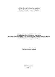 dissertação Everson - Faculdade Novos Horizontes