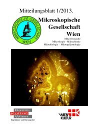 Mitteilungsblatt 2013 - Mikroskopische Gesellschaft Wien