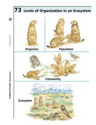 Levels of Organization in an Ecosystem - Prentice Hall