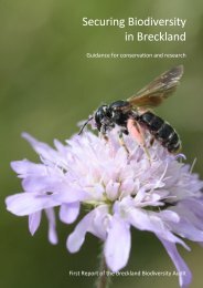 Securing Biodiversity in Breckland - European Commission