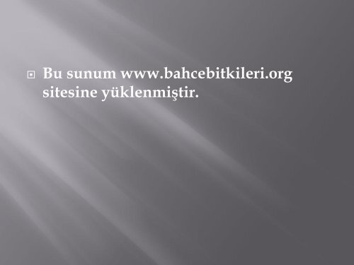 3. Hafta - BahceBitkileri.org