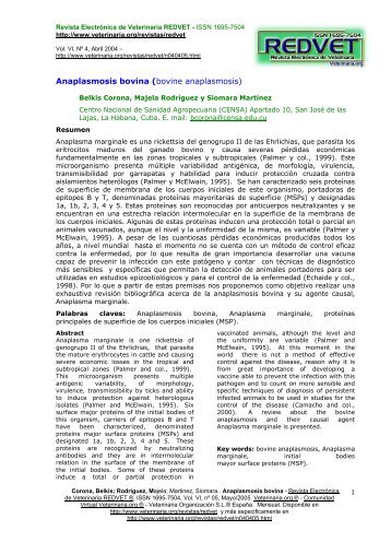 Anaplasmosis bovina - Veterinaria.org