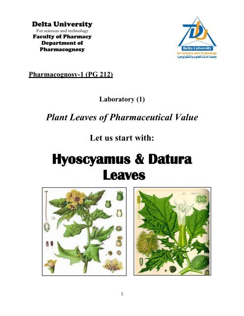 Hyoscyamus & Datura Leaves