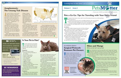 Anaplasmosis: The Unsung Tick Disease Pets a Go Go: Tips for ...