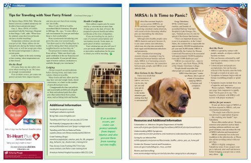 Anaplasmosis: The Unsung Tick Disease Pets a Go Go: Tips for ...