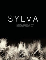 Sylva - Research Report and Synopsis - Philip Beesley