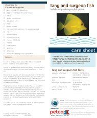 tang and surgeon fish care sheet - Petco