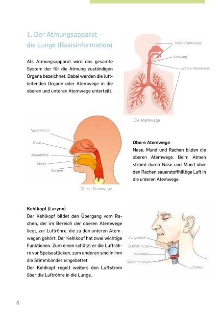 LOT Patientenbroschüre - Pulmonx