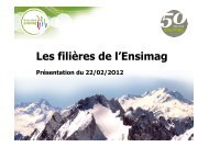 Les filiÃ¨res de l'Ensimag - Ensiwiki