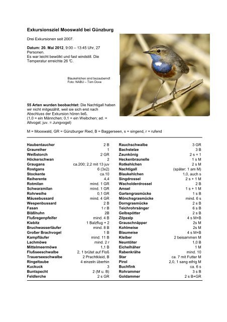 Vogelarten an den Baggerseen und im Ried - NABU Ulm/Neu-Ulm