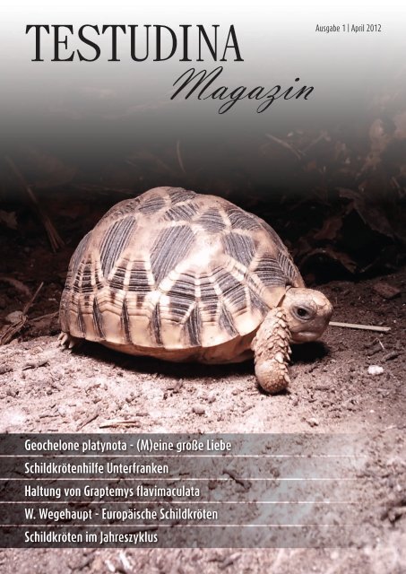 Ausgabe 1 April 2012