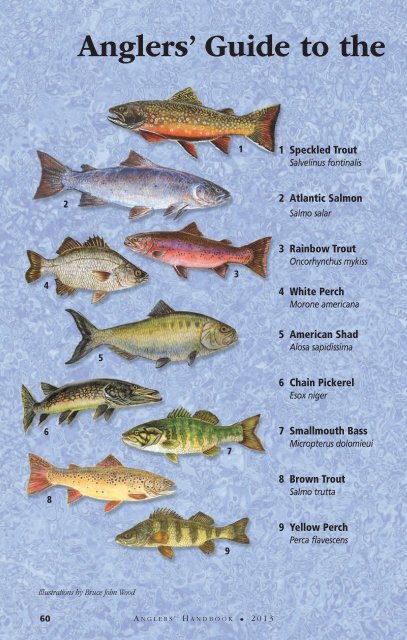 Nova Scotia Anglers' Handbook & 2013 Summary of Regulations