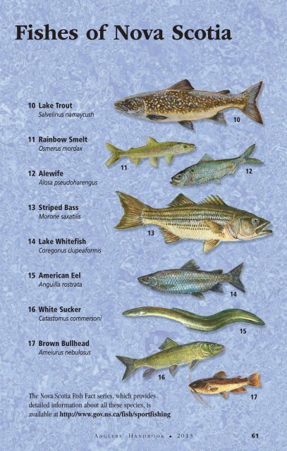 Nova Scotia Anglers' Handbook & 2013 Summary of Regulations