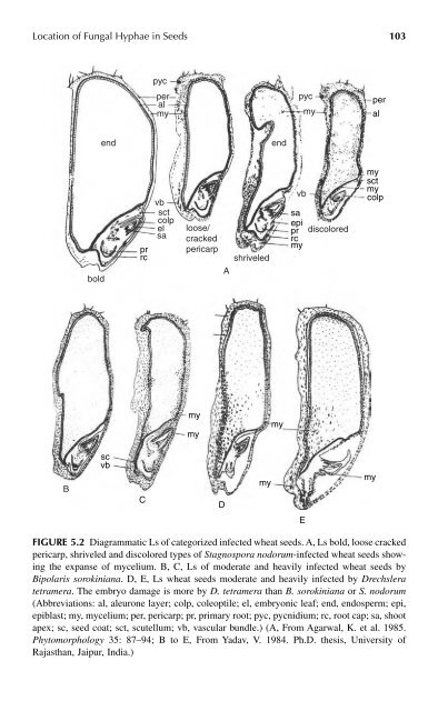 Histopathology of Seed-Borne Infections - Applied Research Center ...