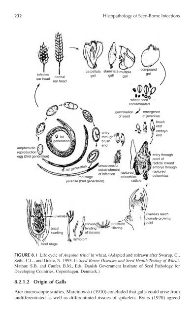 Histopathology of Seed-Borne Infections - Applied Research Center ...