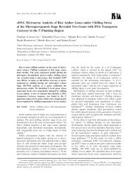 cDNA Microarray Analysis of Rice Anther Genes under Chilling ...