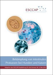 Bekämpfung von intestinalen Protozoen bei Hunden und ... - ESCCAP