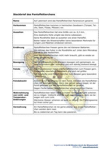 Steckbrief des Pantoffeltierchens - SPI - Aquarium