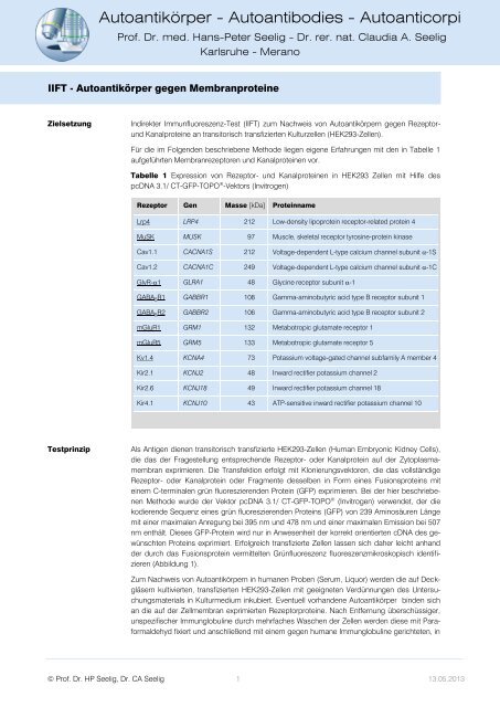 indirekte Immunfluoreszenz - H.-P. Seelig