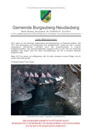 (5,34 MB) - .PDF - Burgauberg-Neudauberg
