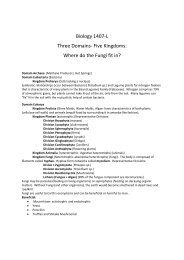 Three Domain – 5 Kingdoms Study Guide
