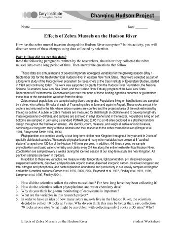 Effects of Zebra Mussels on the Hudson River - Cary Institute of ...