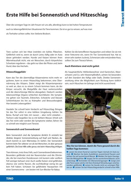 Download - Tiere in Not Odenwald eV