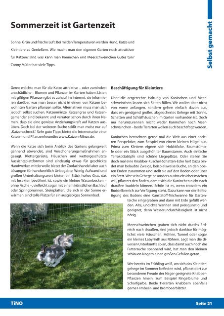 Download - Tiere in Not Odenwald eV