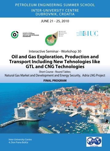 Oil and Gas Exploration, Production and Transport Including ... - IUC