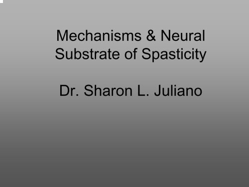 Mechanisms and neural substrate of spasticity