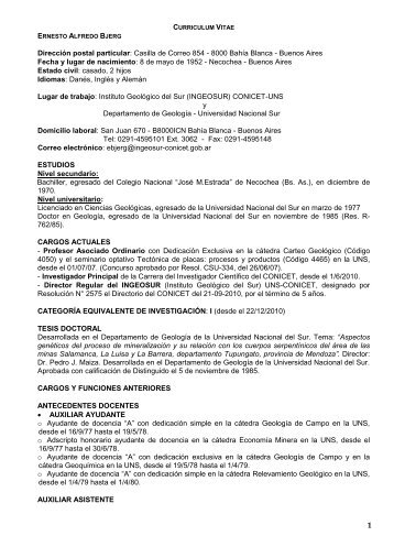 CURRICULUM VITAE - Universidad Nacional del Sur