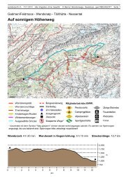 Auf sonnigem Höhenweg - barbarascherler.ch