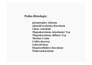 Patho-Histologie: