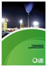 LINC ENERGY LTD // 2010 ANNUAL REPORT
