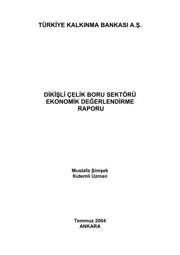 Dikişli Çelik Boru Sektörü Ekonomik Değerlendirme Raporu