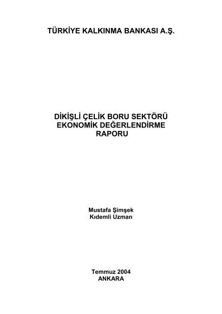 Dikişli Çelik Boru Sektörü Ekonomik Değerlendirme Raporu