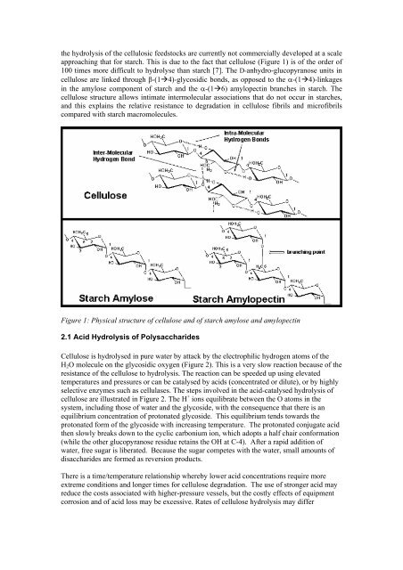 the hydrolysis of