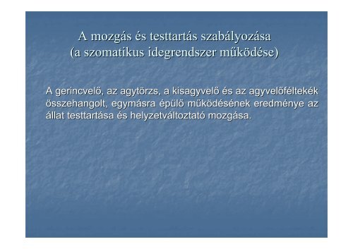 AZ IDEGRENDSZER MŰKÖDÉSE