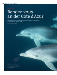 Rendez-vous an der Côte d'Azur - OceanCare